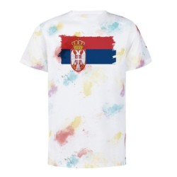 CAMISETA MARCAS COLORES...