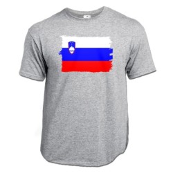 CAMISETA GRIS MEZCLA...