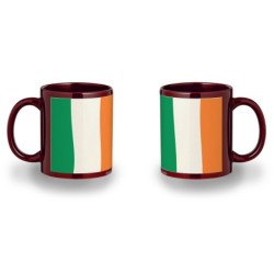 TAZA COLOR RECUADRO bandera irlanda pais gobierno irlandés color mug jarra cerveza te infusión