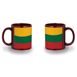 TAZA COLOR RECUADRO bandera lituania pais gobierno lituano color mug jarra cerveza te infusión