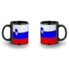 TAZA COLOR RECUADRO bandera eslovenia pais gobierno esloveno color mug jarra cerveza te infusión